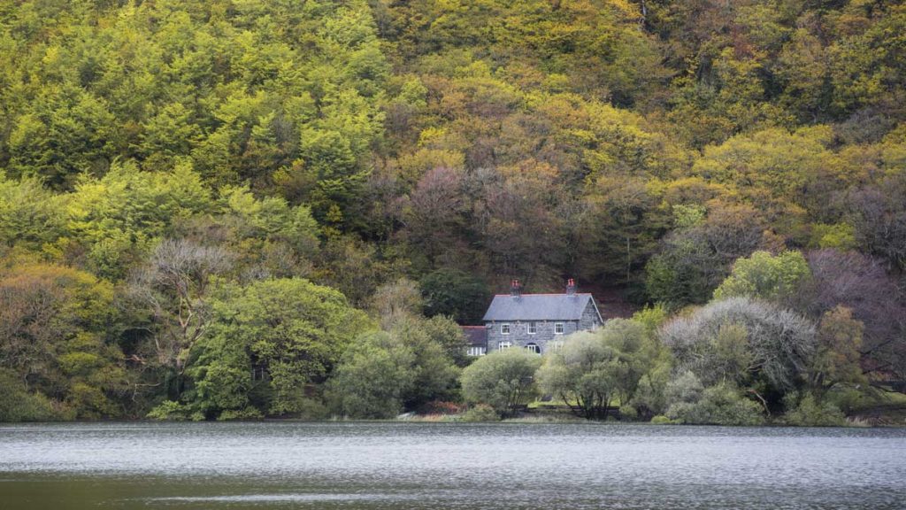 A country cottage nestled between green trees on the banks of a lake