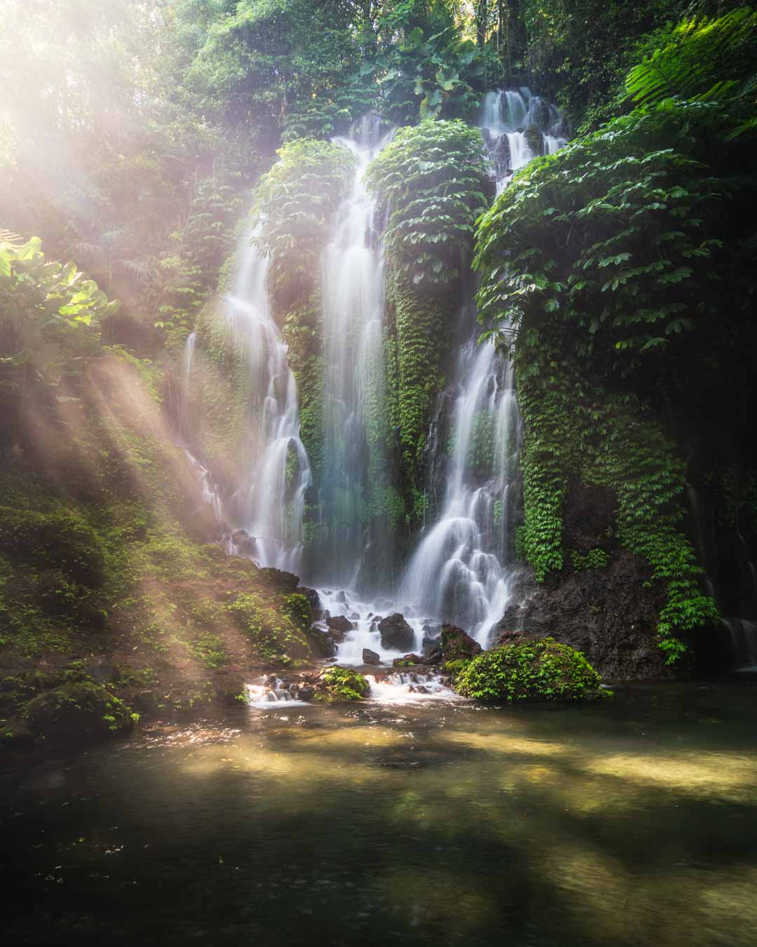 Rays of light illuminate a pool of water in front of a waterfall. The soft flows of water due to the long exposure are highlighted by the light rays. The waterfall sits in a jungle full of tropical plants. Green leaves protrude from the face of the waterfall.