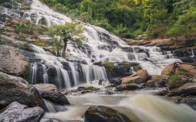 A single tree surrounded by the flowing tiers of Mae Ya Waterfall, its vibrant greenery standing out amidst the white, smooth streams captured through a long-exposure technique.