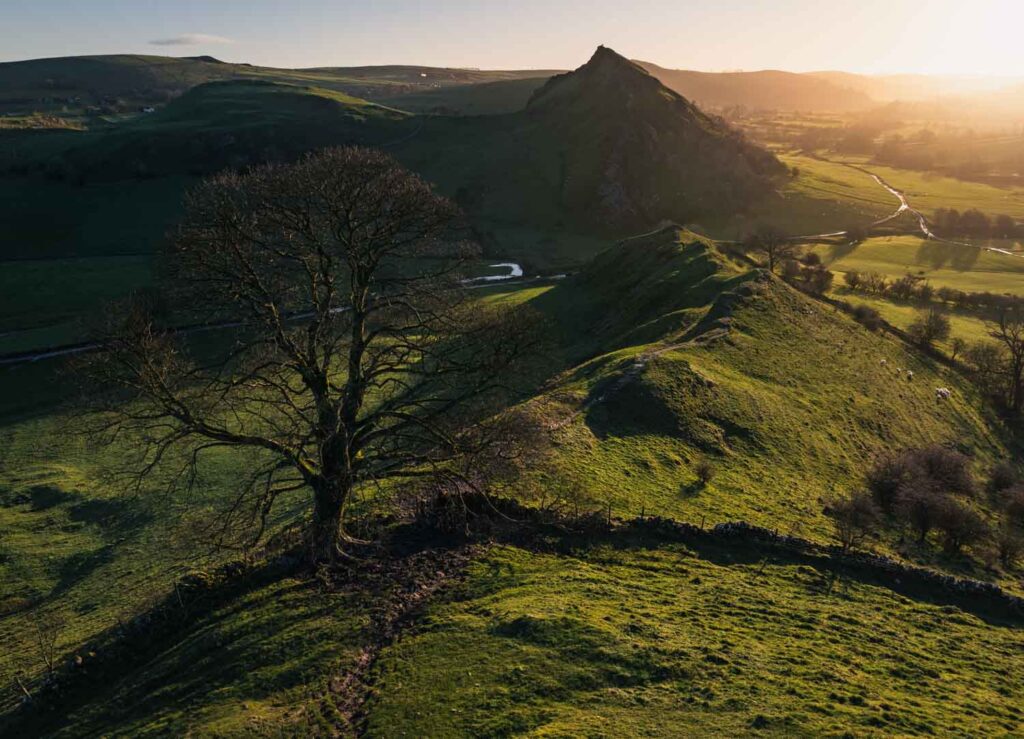 Golden light falling across a steep grassy ridge, with a lone tree and stone wall tracing the hillside.