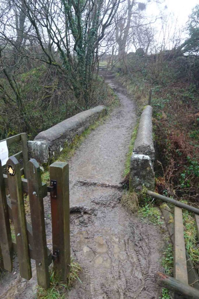 Small stone footbridge crossing a stream, followed by a narrow, muddy path through trees.