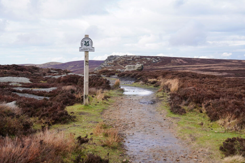 A wooden National Trust sign reading Derwent Edge stands beside a muddy path cutting through heather covered moorland. Rocky outcrops rise in the distance along the rugged ridge of Derwent Edge in the Peak District.