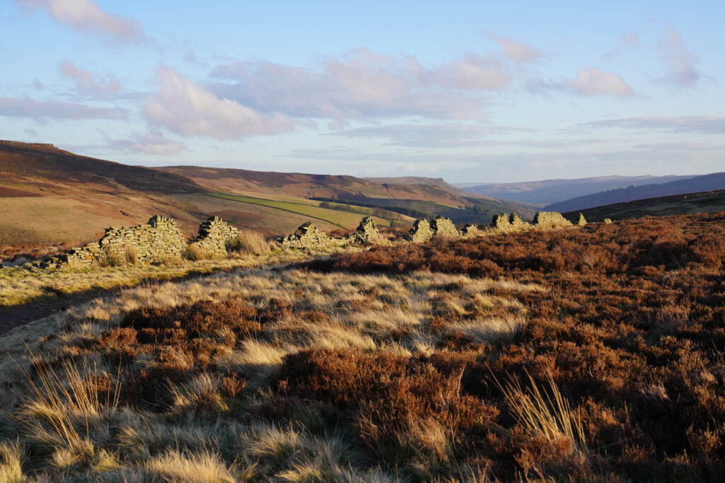 Low stone wall ruins stretch across heather covered moorland along Derwent Edge. Rolling hills and green valleys of the Peak District spread out in the distance beneath a soft evening sky.