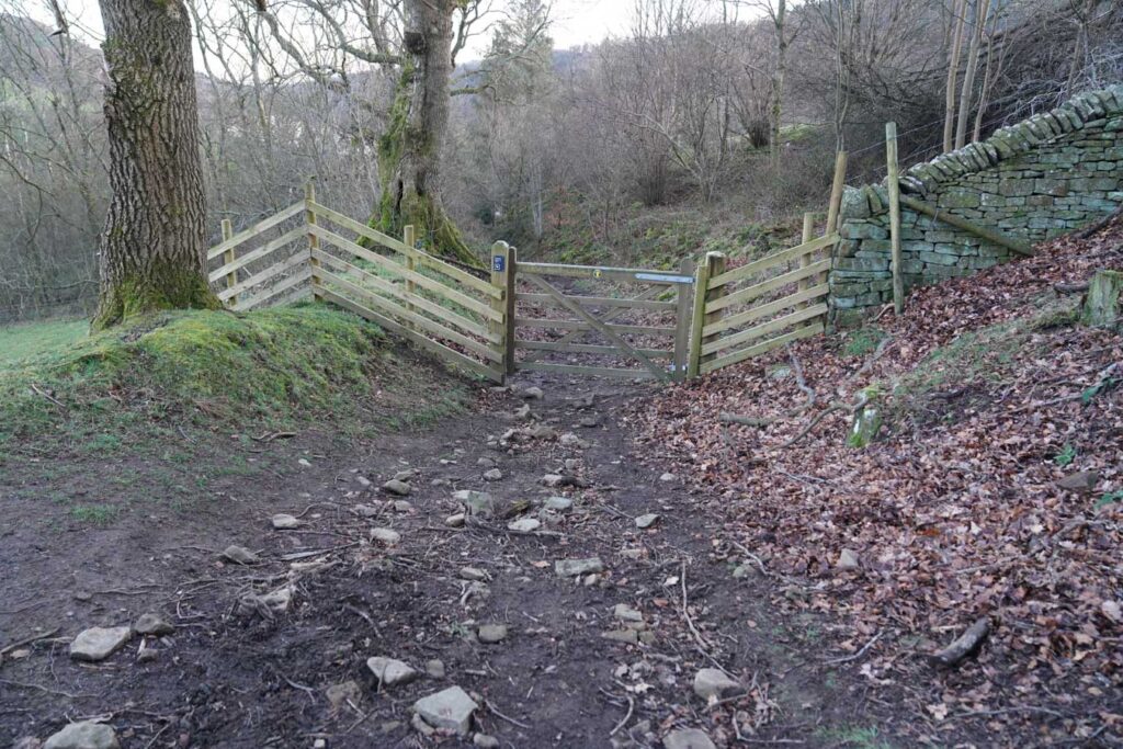 A wooden gate blocks a muddy forest path lined with bare trees and a dry stone wall. Fallen leaves cover the ground along this wooded section near the end of the Derwent Edge walk in the Peak District.